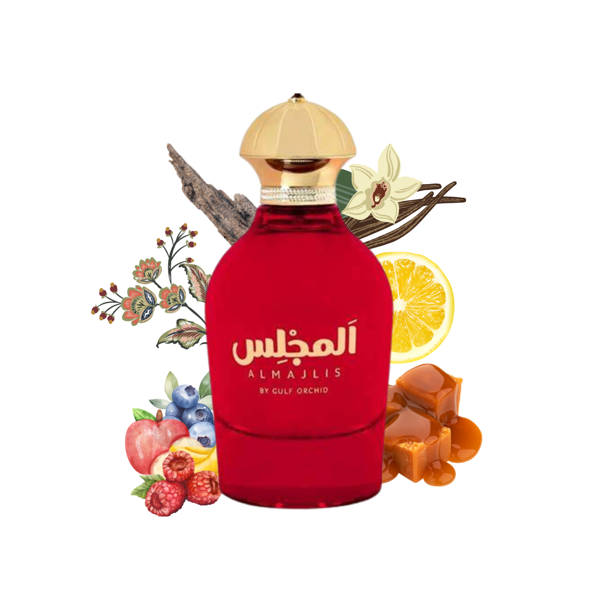 almajlisgulforchid.png almajlisgulforchid.png