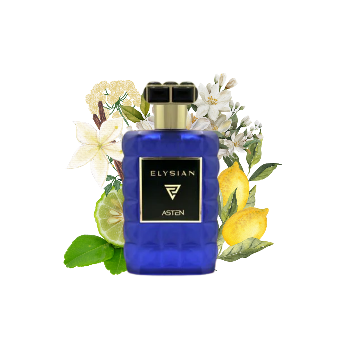 elysianasten100ml.png elysianasten100ml.png