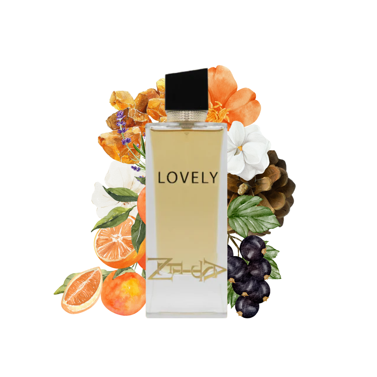 lovelyasten.png lovelyasten.png