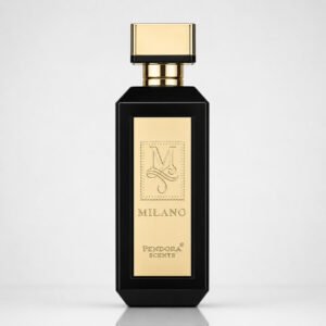 milano men rabanne 1 million.jpg