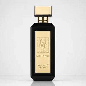 milano men rabanne 1 million.jpg