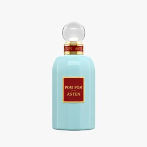 pom pom asten miu miu inspiration.jpg