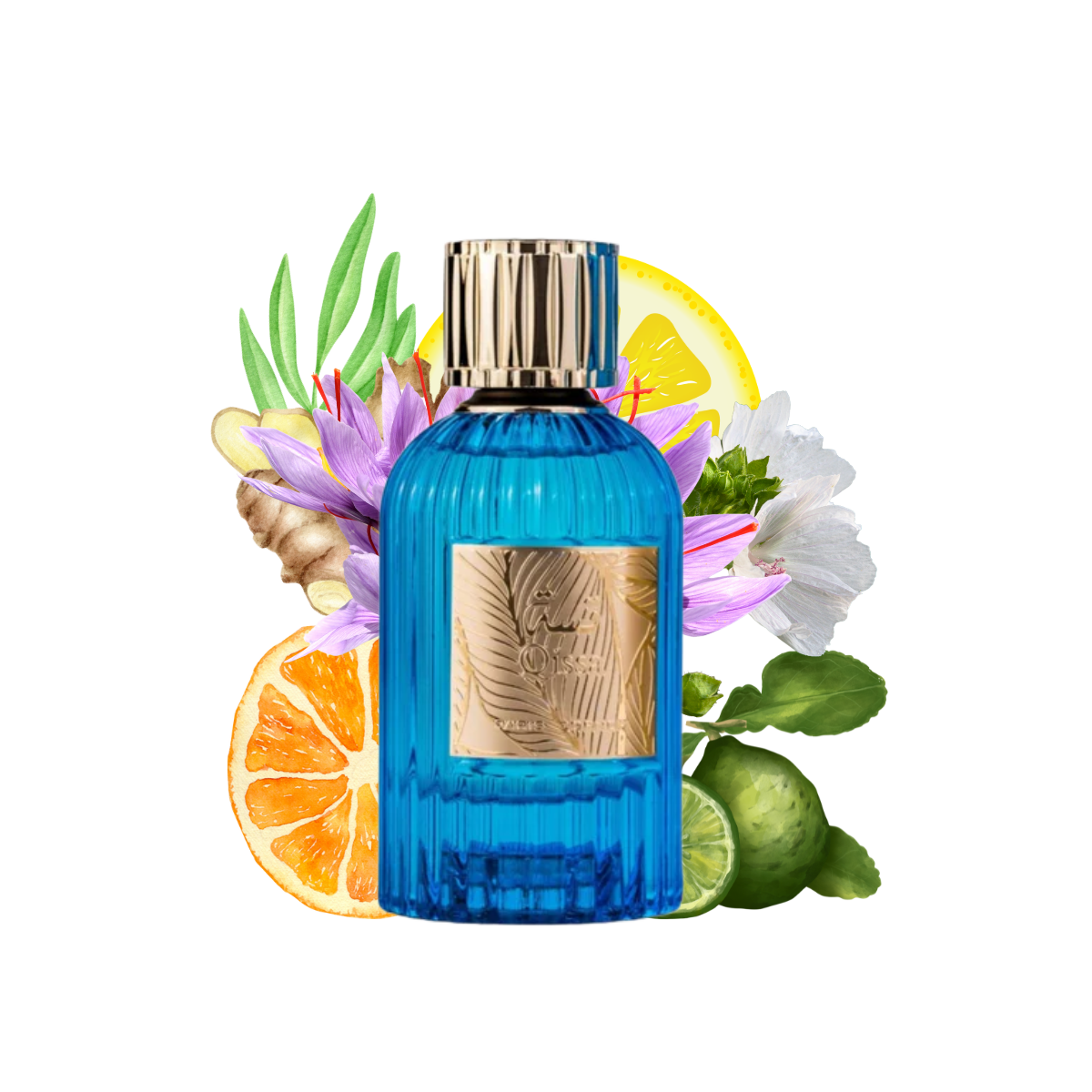 qissabluebypariscornerperfumes.png qissabluebypariscornerperfumes.png
