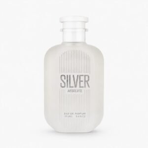 silver absolute silver mountain water inspiration.jpg