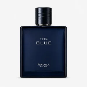 the blue blue de chanel inspiration.jpg