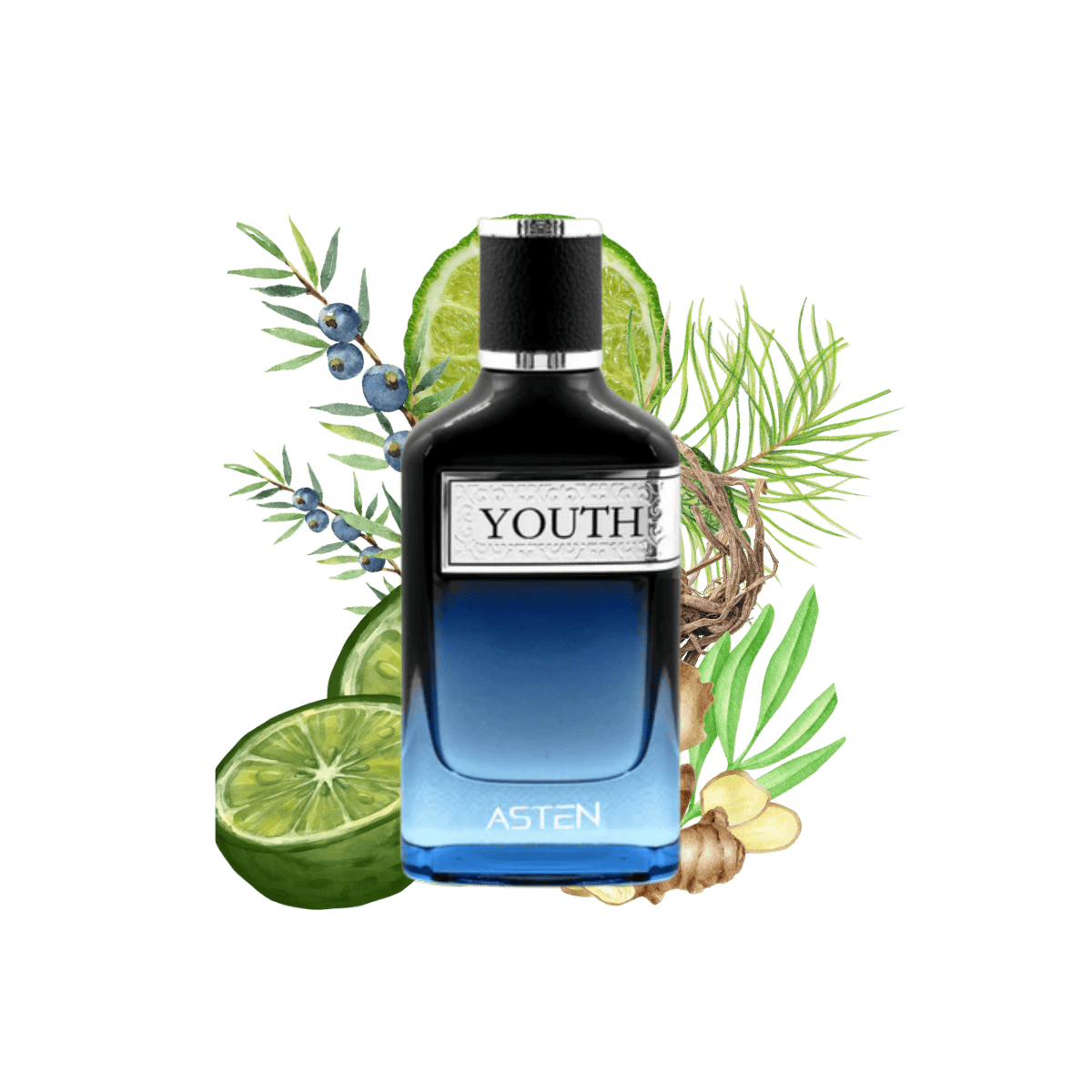 youthasten.png youthasten.png
