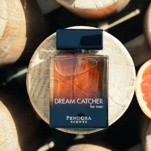 dream catcher.jpg